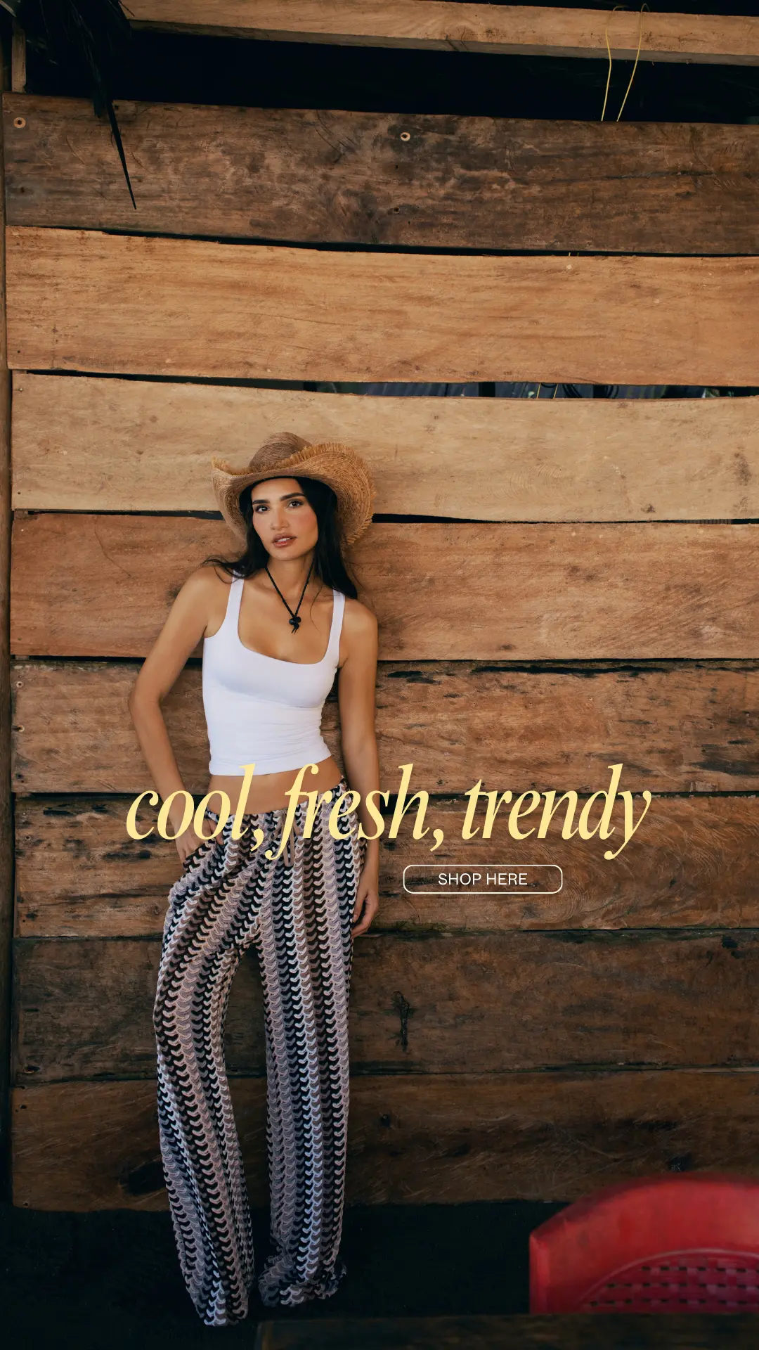 Banner 2 VAAM Colombia