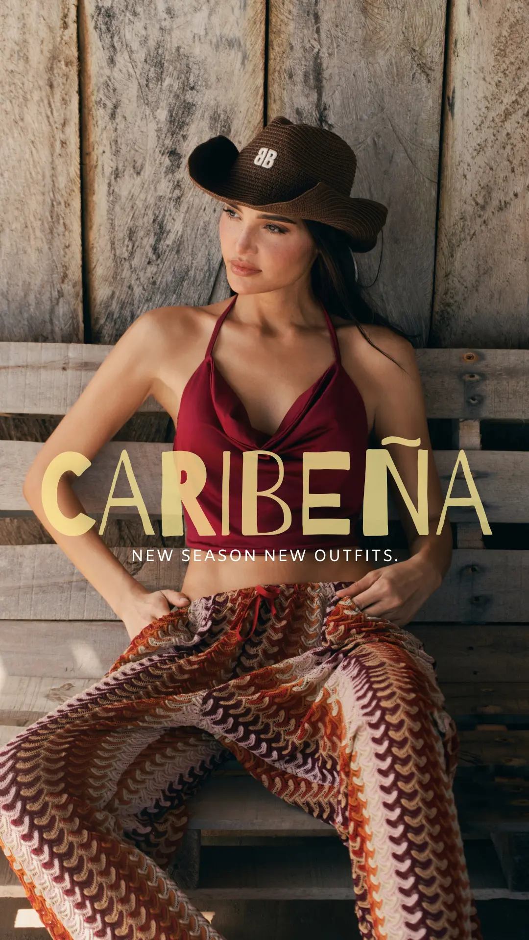 Banner 1 VAAM Colombia